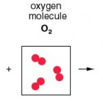 Concept of the Molecule